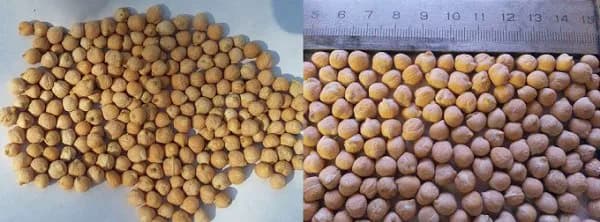 Нут FOB / FCA Россия