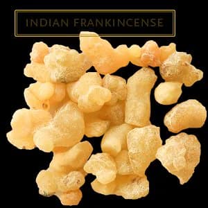 INDIAN FRANKINCENSE