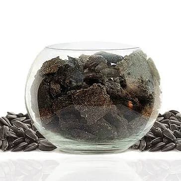 Жмых подсолнечный FOB Санкт-Петербург, Россия