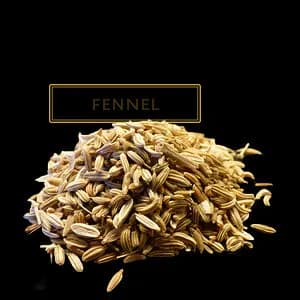 FENNEL