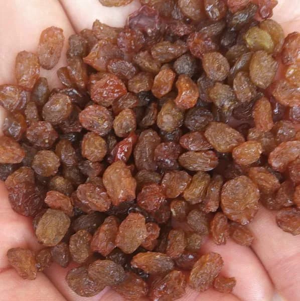 Grapes dried small "brown" (2-grade)