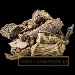 INDIAN SARSAPARILLA