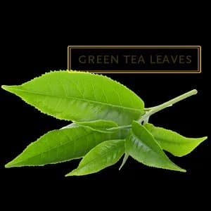 GREEN TEA LEAF