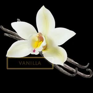 VANILLA