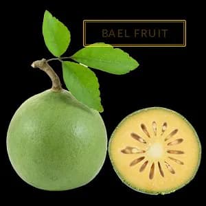 BEAL FRUIT