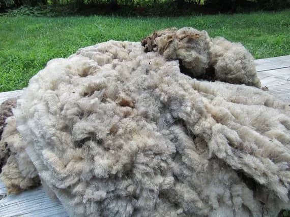 Натуральная овечья шерсть