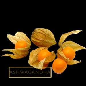 ASHWAGANDHA