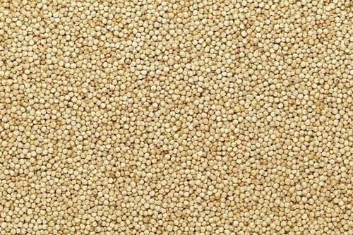 Семена белой квиноа