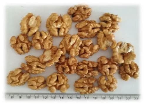 грецкие орехи $ 8.01 / kg