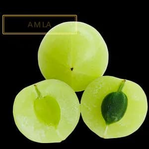 AMLA