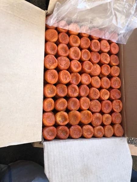 Dried apricots (1-grade)
