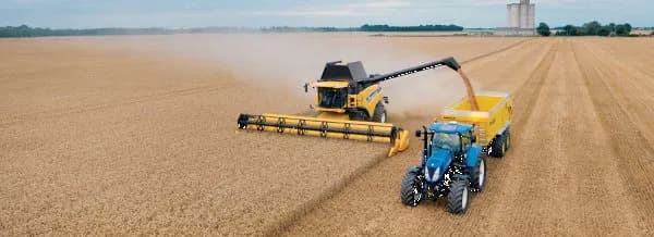 Пшеница озимая мягкая