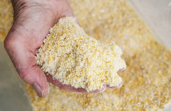 Порошок желтой кукурузы