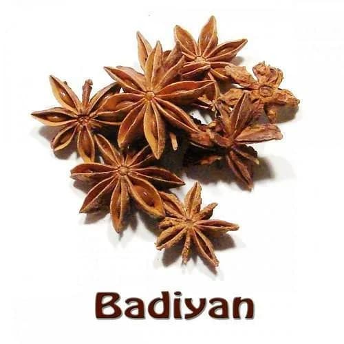 Индийский бадиян