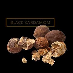 BLACK CARCADOM