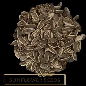 SUNFLOWER SEED