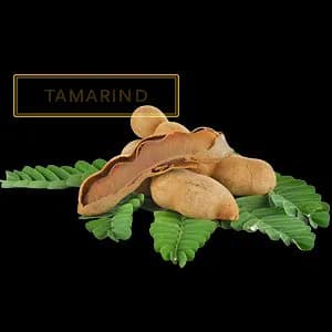 TAMARIND