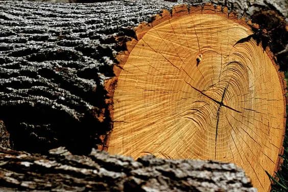 Пиломатериалы от производителя