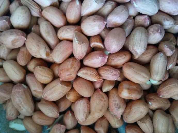 Peanuts from India