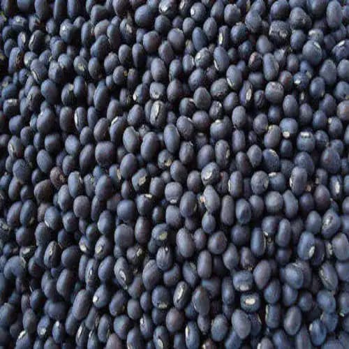 Черная мунг