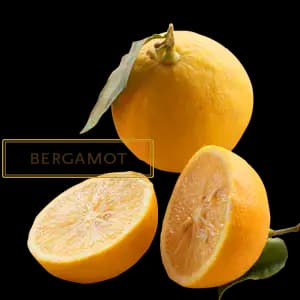 BERGAMOT