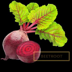 BETROOT