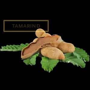 TAMARIND